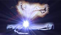 Auto Withdraw Soul