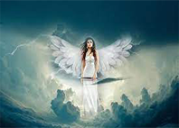 angel program